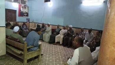 Photo of بقيادة العمدة.. أهالي الرفشة يجتمعون لتأمين وحماية قريتهم من السرقات بأبوتشت
