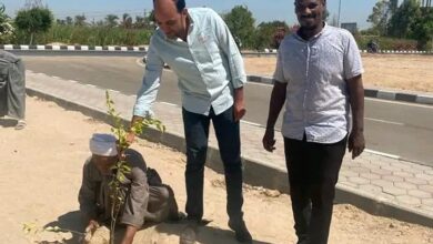 Photo of البدء في زراعة 400 شجرة بمركز الوقف