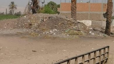 Photo of مطالب برفع القمامة من طريق الكلاحين في قفط.. ورئيس القرية: سيتم تطهيرها فورا