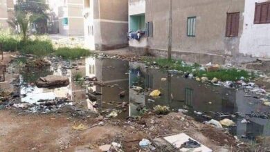 Photo of حقيقة غرق عمارات الوحدة المحلية في نقادة بمياه الصرف الصحي
