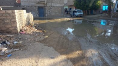 Photo of بريد” الشارع القنائي”.. غرق شارع مسجد آل عيت الله بحجازة ومطالب بشفط المياه