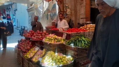 Photo of الطماطم الكيلو ونص بـ10.. تعرف على أسعار الخضروات بمدينة قنا