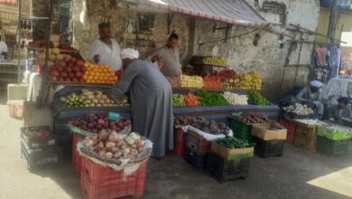 Photo of البطاطس الكيلو بـ10.. تعرف على أسعار الخضروات بمدينة قوص