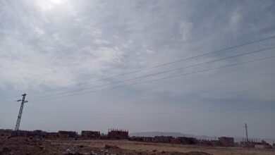 Photo of غيوم وأجواء باردة في قنا.. والأرصاد تحذر من التقلبات الجوية