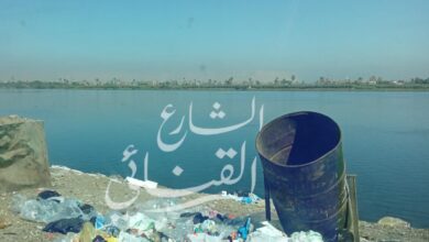 Photo of منظر غير حضاري.. صناديق قمامة على ضفاف النيل في “هوّ” بنجع حمادي بقنا