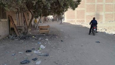 Photo of مناشدة برصف شارع رئيسي في قوص.. والأهالي: الأتربة أرهقت المرضى والأطفال