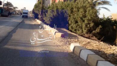 Photo of مناشدة بإصلاح طريق “كوبري الرمل” في نجع حمادي: لمنع وقوع حوادث