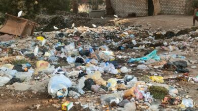 Photo of القمامة عرض مستمر بطريق مركز شباب دندرة