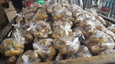 Photo of تاجر خُضار يتبرع بأكثر من نصف طن بطاطس للأسر الأكثر احتياجا في دشنا