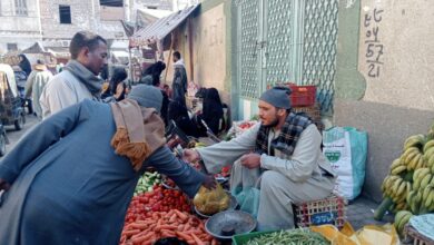 Photo of “الكاكا” بـ20 جنيه.. استقرار الخضراوات وارتفاع الفاكهة في سوق الوقف