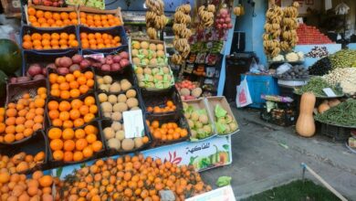 Photo of الشارع القنائي ينشر اسعار عدد66 نوع من الفاكهة والخضروات في سوق قنا تعرف عليها