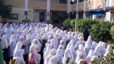 Photo of قرار وزاري بتخصيص قطعة أرض لإقامة معهد فتيات في نجع حمادي