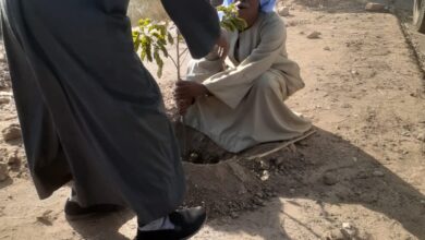 Photo of زراعة 100 شجرة بنطاق مجلس قروي الحراجية