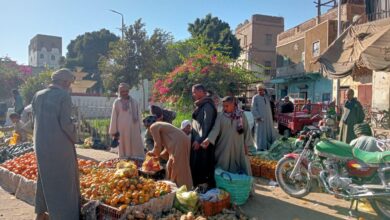 Photo of “الشارع القنائي”ينشر  أسعار الخضراوات والفاكهة