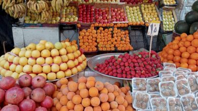 Photo of الطماطم بـ٤ جنيه.. ننشر أسعار الخضراوات والفاكهة اليوم في قنا