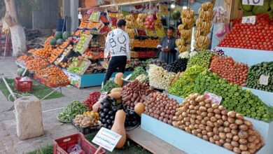 Photo of منصة “الشارع القنائي” تنشر أسعار 90 منتج من الخضراوات والفاكهة
