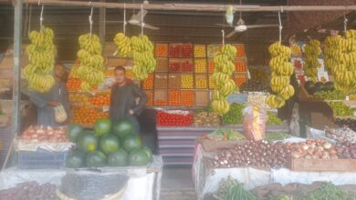 Photo of الشارع القنائي يقدم قائمة بأسعار الخضراوات والفاكهة اليوم الثلاثاء 25 أبريل