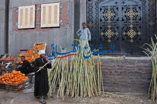 Photo of “البكارات والقصب” فرحة الأقباط فى عيد الغطاس