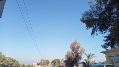 Photo of طقس اليوم.. مشمس نهارًا شديدة البرودة ليلًا بقنا والصغرى 7 درجات