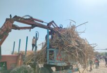Photo of “الكباش” ماكينة وفرت الجهد والمال لمزارعي القصب: أسهل من الشيل على الأكتاف
