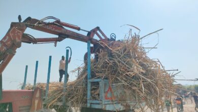 Photo of “الكباش” ماكينة وفرت الجهد والمال لمزارعي القصب: أسهل من الشيل على الأكتاف