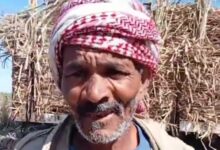 Photo of عم “عطية” 42 عاماً في مهنة “الشقاء”