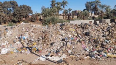 Photo of مطالب برفع مخلفات من طريق “الحلفاية بحري” بنجع حمادي