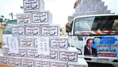 Photo of محلية الوقف: توزيع 2500 كرتونة غذائية “تحيا مصر” بأسعار مخفضة