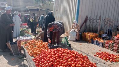 Photo of ننشر أسعار الخضراوات والفاكهة في سوق الوقف