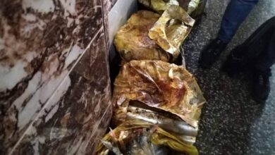 Photo of ضبط أسماك مملحة غير صالحة خلال حملة تموينية في نجع حمادي