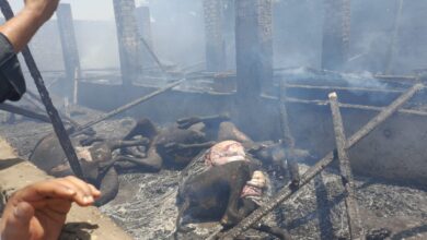 Photo of حريق 5 منازل وأحواش ماشية في أبوتشت