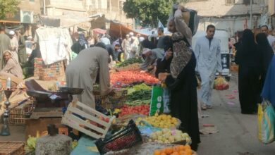 Photo of أول سوق بعد العيد.. “البامية” بـ40 جنيها و”المجنونة” بـ10 و”الفاكهة” رخيصة في الوقف