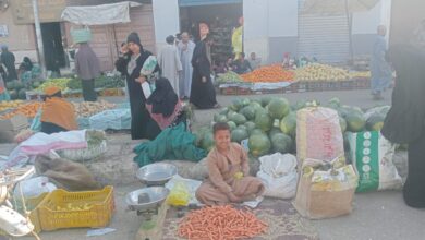 Photo of الطماطم بـ10 جنيهات.. ننشر أسعار الخضراوات والفاكهة في سوق الوقف