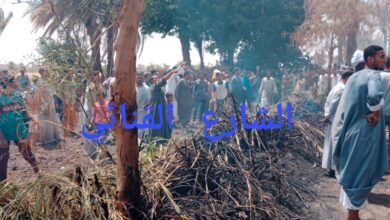 Photo of حريق في 4 أحواش ماشية بالدهسة ـ فرشوط