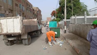 Photo of لمنع انتشار الأوبئة.. حملات لرفع القمامة من تلك الشوارع في دشنا