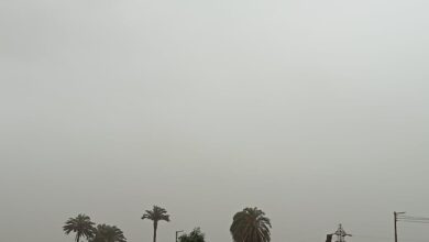 Photo of غيوم كثيفة وأمطار خفيفة وعاصفة ترابية تضرب محافظة قنا