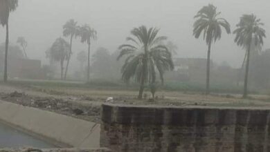 Photo of رئيس محلية قوص: متابعة مستمرة لحالة الطقس السيء