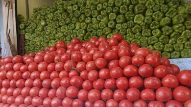 Photo of تعرف على أسعار الخضراوات والفاكهة بسوق قنا