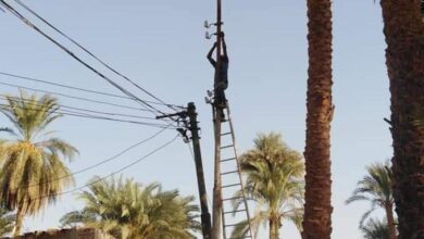 Photo of شكاوى أهالي “ساقية أبوحران” بقرية الجمالية من انقطاع الكهرباء 9 ساعات يوميا