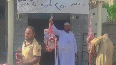 Photo of انخفاض سعر كيلو اللحوم لـ250  جنيه في قنا