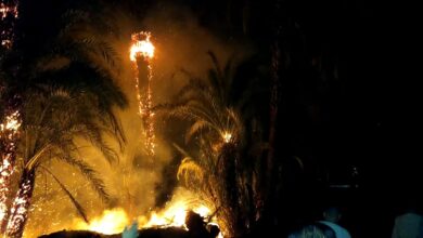 Photo of حريق في 15 شجرة نخيل بأبوتشت