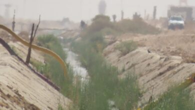 Photo of نقص مياه الري يهدد آلاف الأفدنة بقرية المراشدة