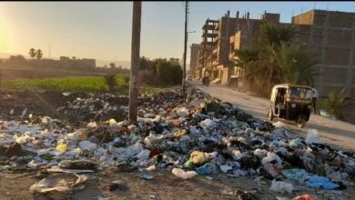 Photo of شكاوي من  تراكم المخلفات والقمامة بطريق الشوادر بقوص