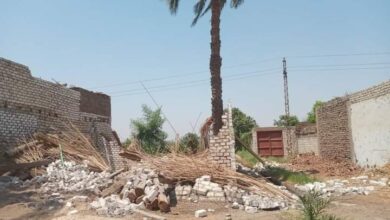 Photo of إزالة 12 حالة تعد على أملاك الدولة في نجع حمادي