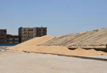 Photo of محافظ قنا: توريد 207 آلاف و882 طنًا من محصول القمح بصوامع وشوّن المحافظة