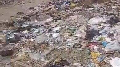 Photo of استغاثة الأهالى بقوص من تراكم المخلفات والقمامة بطريق الشوادر
