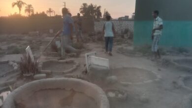 Photo of صور|| شباب قرية المراشدة يواصلون حملات تنظيف المقابر من الأشواك ويساعدهم كبار السن